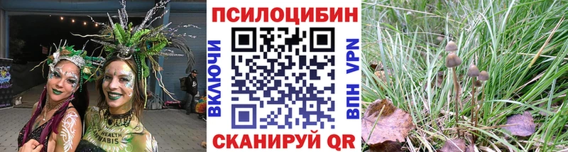 Галлюциногенные грибы GOLDEN TEACHER  продажа наркотиков  Чегем 