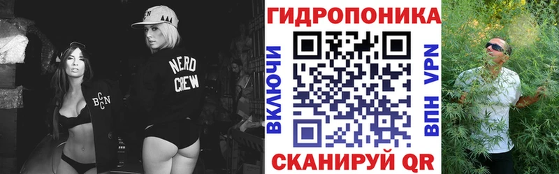 продажа наркотиков  Чегем  Канабис OG Kush 